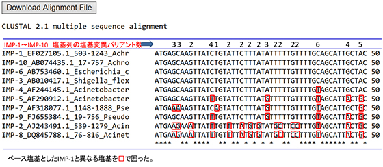 Multiple DNA sequence alignment（IMP-1～IMP-10）の塩基列におけるIMP-1との塩基変異バリアント数および塩基種の例